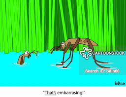 Water Striders Cartoons and Comics - funny pictures from CartoonStock