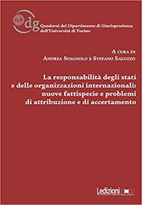 La Responsabilità Degli Stati E Delle Organizzazioni