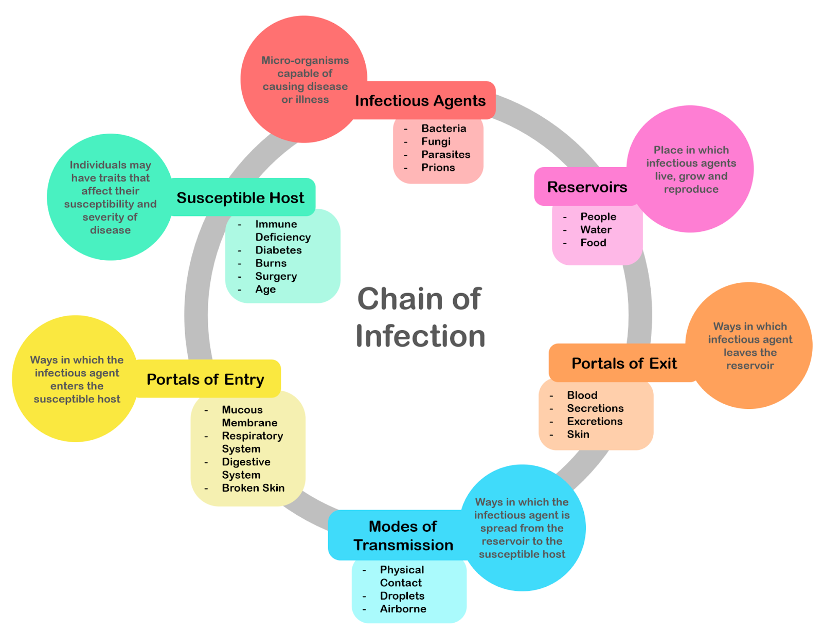The infographic titled “Chain of Infection” is made up of 6 components. Infectious agents are “micro-organisms capable of causing disease or illness” and include bacteria, fungi, parasites, and prions. Reservoirs are “places in which infectious agents live, grow, and reproduce” and include people, water, and food. Portals of exit are ways in which infectious agents leave the reservoir and include blood, secretious, excretions, and skin. Modes of transmission are “ways in which the infectious agent is spread from the reservoir to the susceptible host” and include physical contact, droplets, and airborne transmission. Portals of entry are ways in which the infectious agent enters the susceptible host” and include mucous membranes, the respiratory system, the digestive system, and broken skin. Susceptible hosts are “individuals that may have traits that affect their susceptibility and severity of disease”. These traits include immune deficiency, diabetes, burns, surgery, and age.
