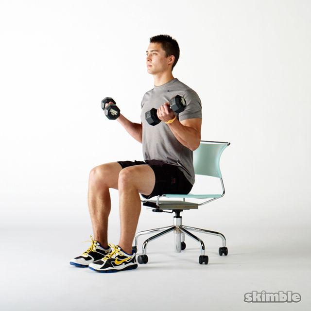 Seated Bicep Curls - Exercise How-to - Workout Trainer by Skimble