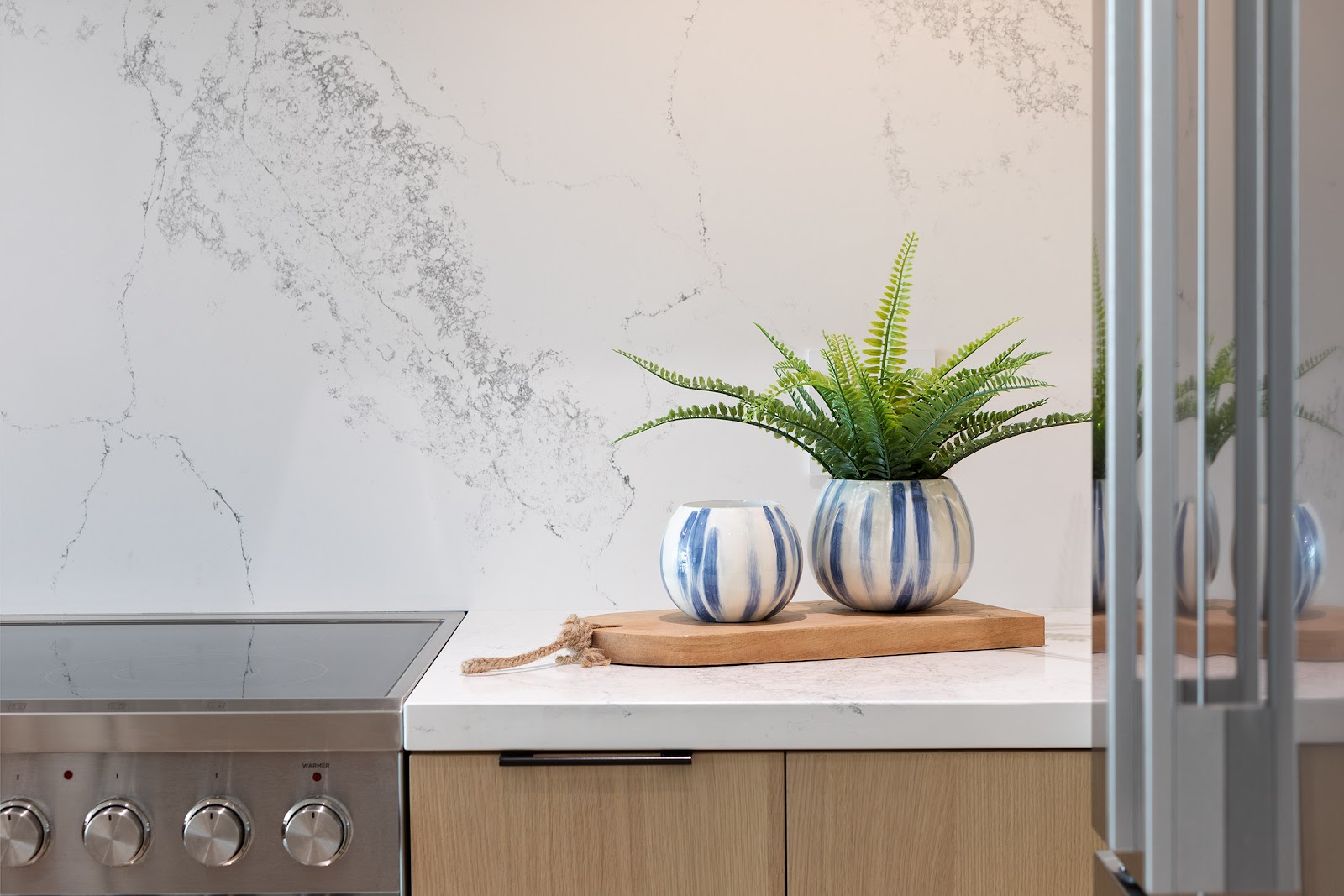 Kitchen countertop detail with plants