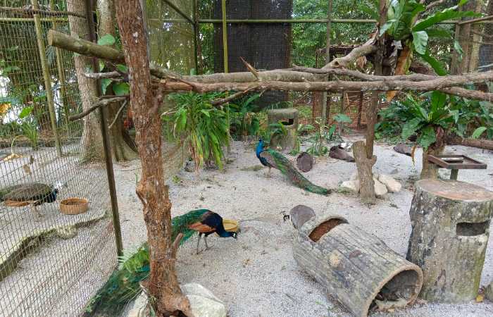 taman burung di malaysia