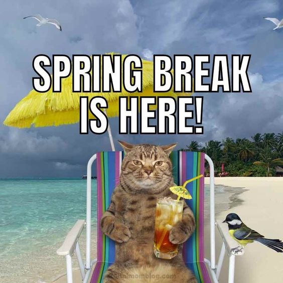 35 Teachers On Spring Break Memes To Brighten Up Your Day