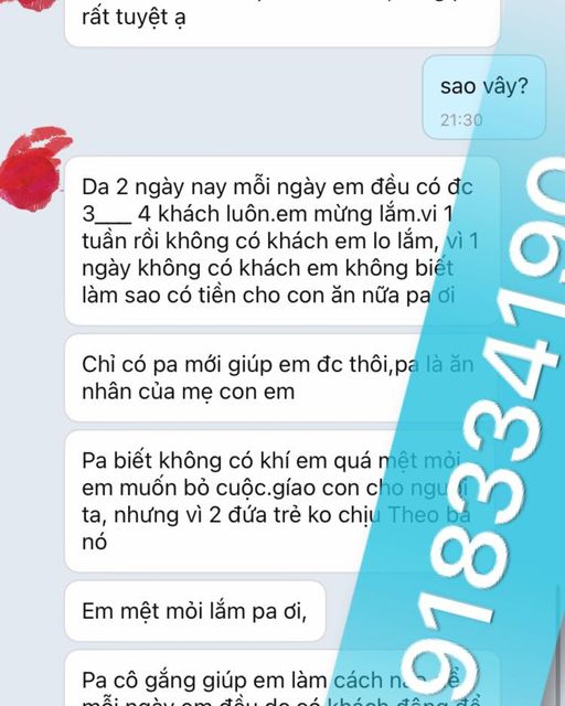 Trên đây là một số thông tin về việc cây may mắn hợp tuổi nào mệnh nào. Ngoài ra, nếu là người có gia đình, bạn hoàn toàn có thể tìm kiếm các dòng cây phong thủy hợp tuổi vợ chồn