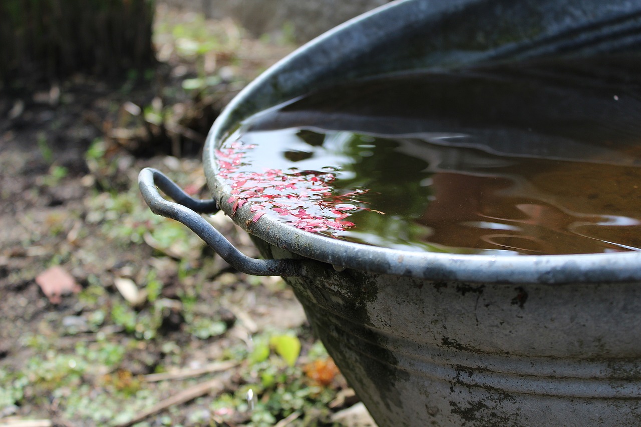 Metal bucket with rainwater