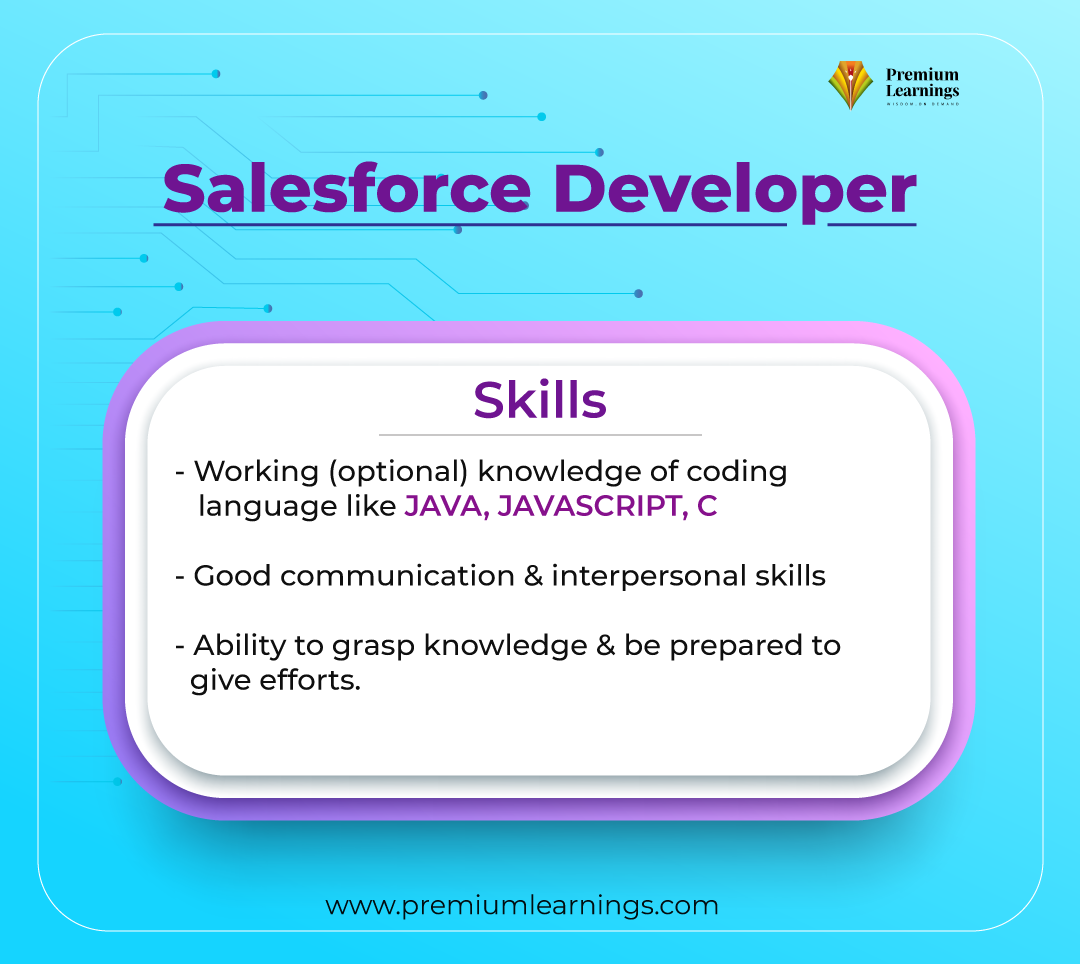 Salesforce Developer Skills