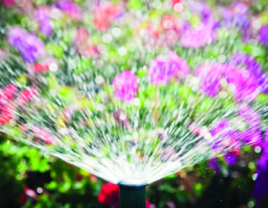 Smart watering makes use of automatic water sprinkler to ensure watering is done at the best time of day