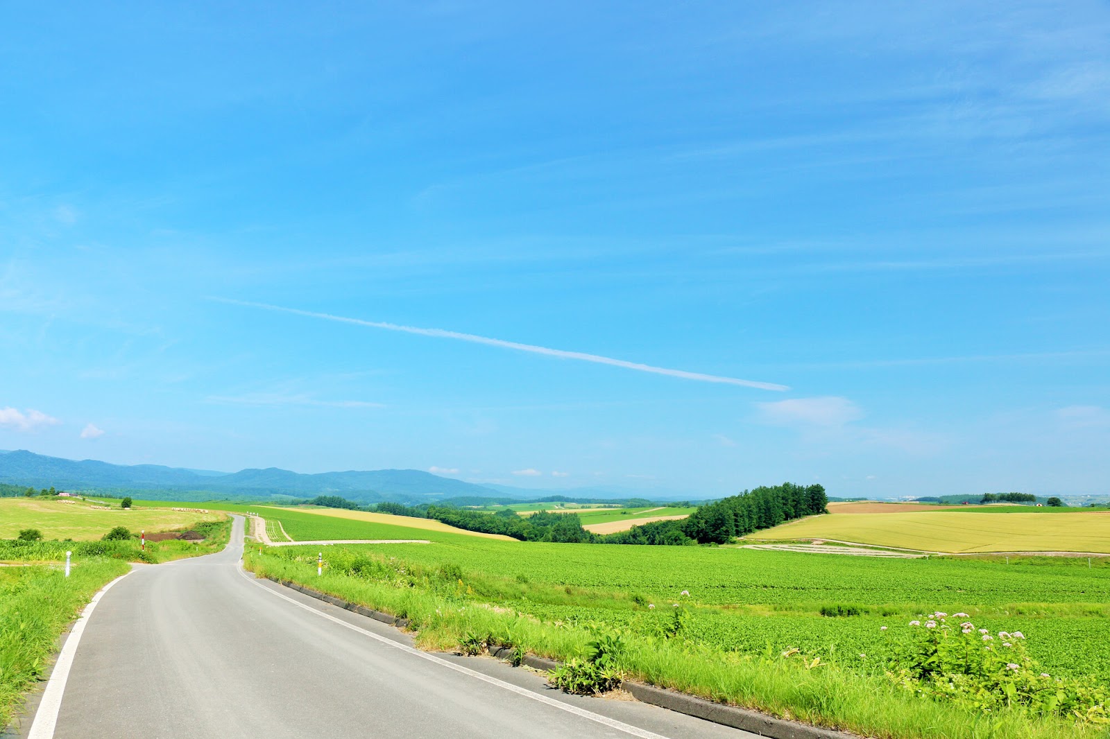 【バイカー向け】北海道の絶景スポットを地域・季節別で紹介