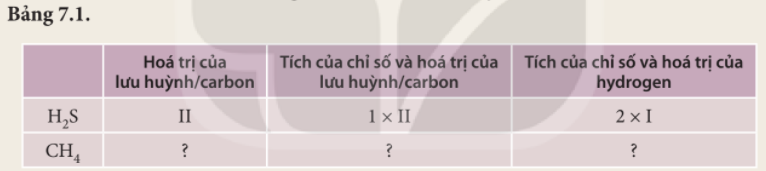 Câu hỏi trang 42 SGK TN&XH 7 KNTT tập 1