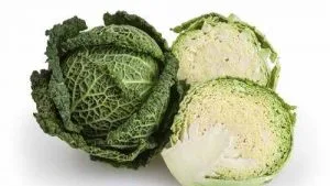 cabbage