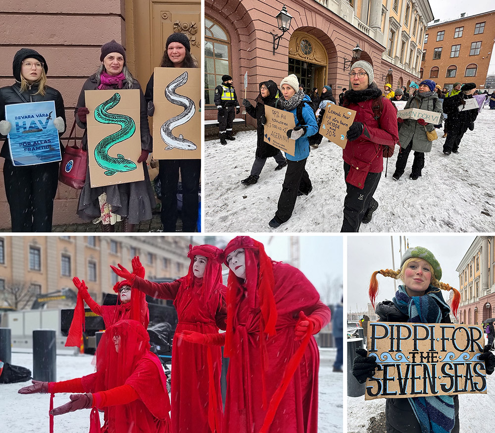 Top: activists standing or marching with placards. Bottom: a group of red rebels (at left) and a woman holding a placard reading 'Pippi for the Seven Seas' (right)