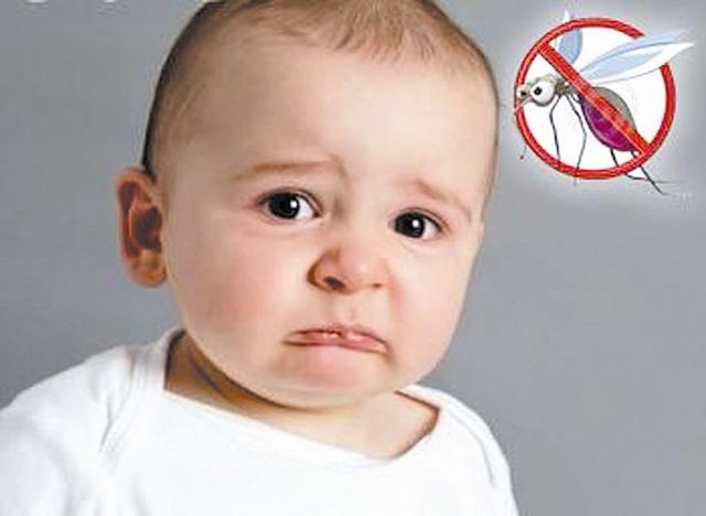 Muỗi rất nguy hiểm với sức khỏe con người, đặc biệt là trẻ nhỏ và người già