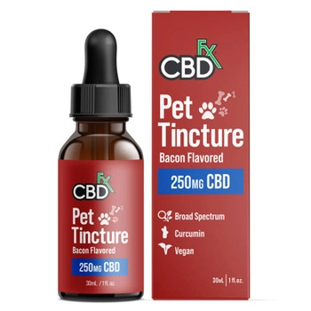 How To Know If You Are Buying The Best CBD Dog Treat?