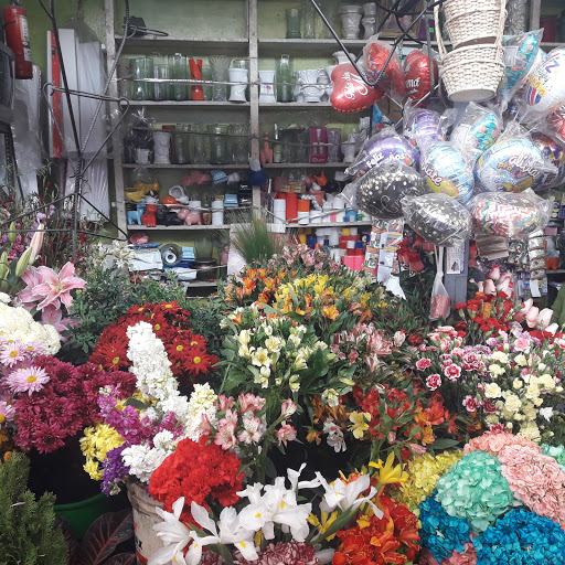 Floreria Eva