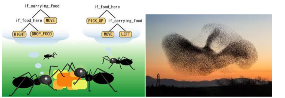 Bio Inspired Computing : Swarm Intelligence