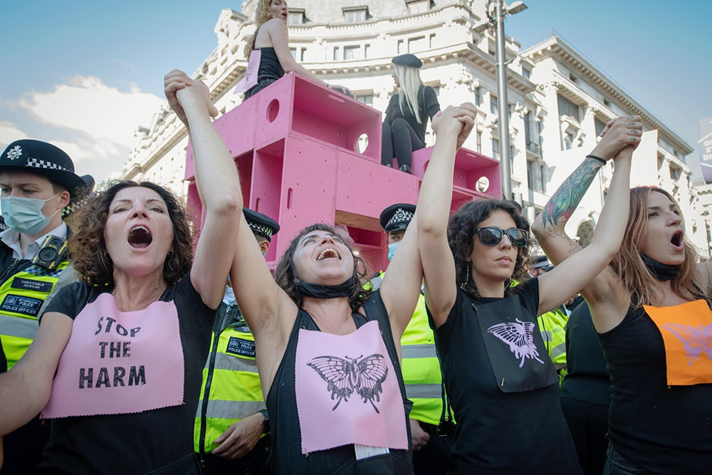 Four women hold hands and cheer in front of a giant pink strucutre surrounded by police. Two people stand on the pink sturcutre.