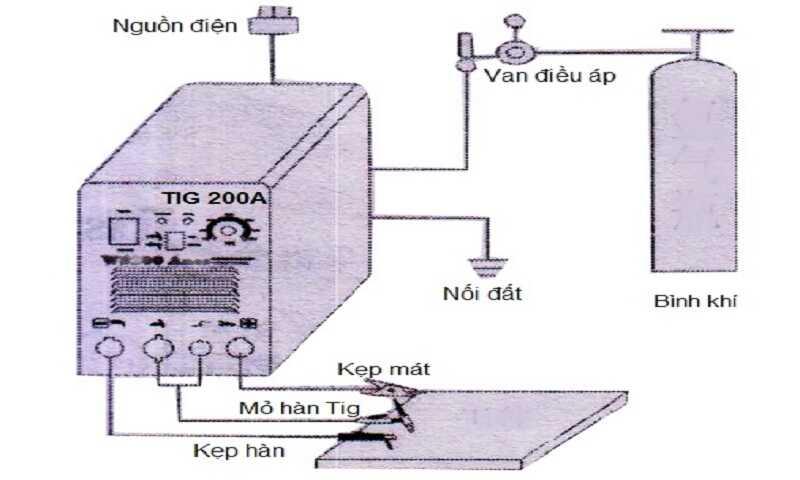 may-han-tig-2_optimized