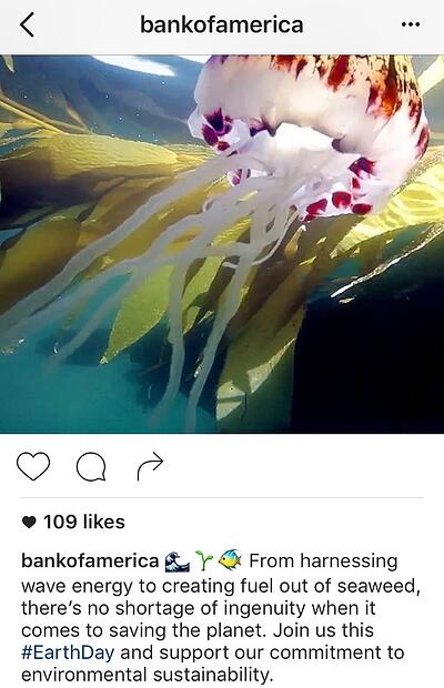 bank-of-Americaa earth-day.jpg