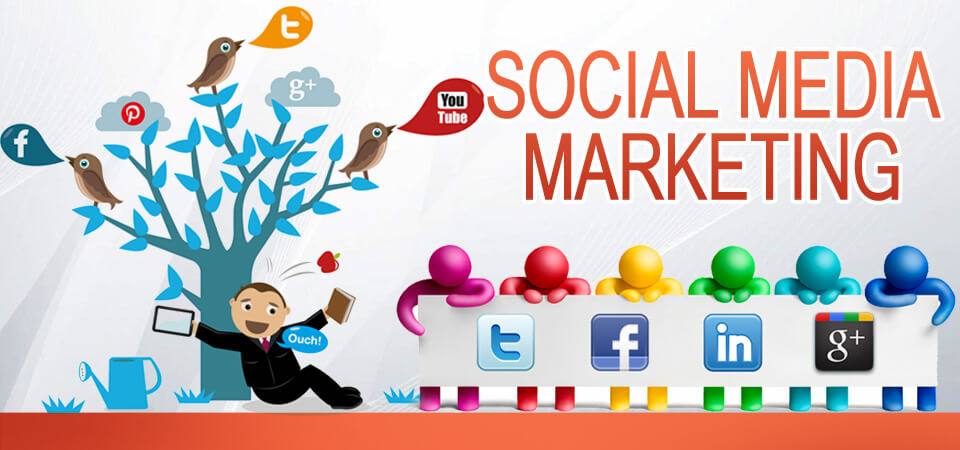 Apa Itu Social Media Marketing dan Cara Penerapannya yang Tepat untuk UMKM - 3