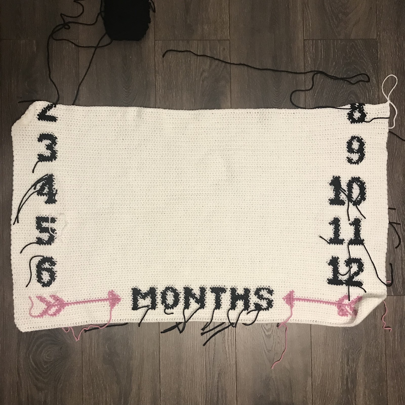 Square crochet graph baby growth blanket with months for baby's first year