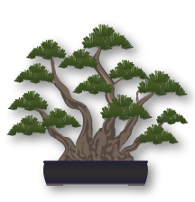 What is Bonsai? Complete Guide With Its Meaning, History, and Designs