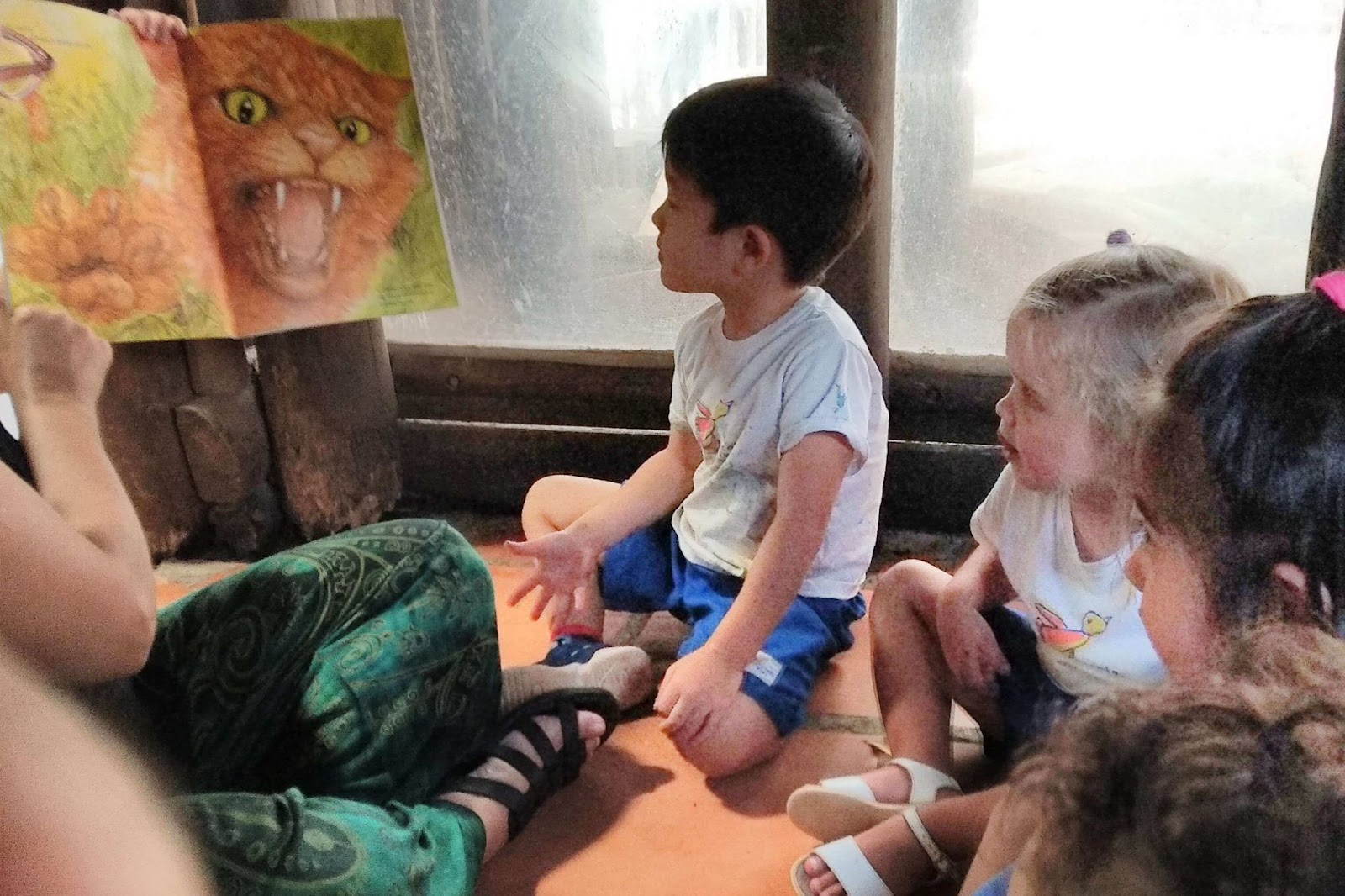 A imagem mostra crianças observando um livro.