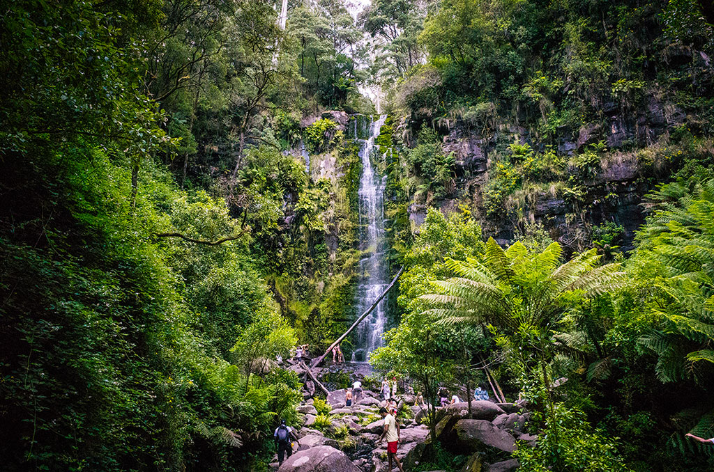 Erskine Falls - Waterfalls in Victoria