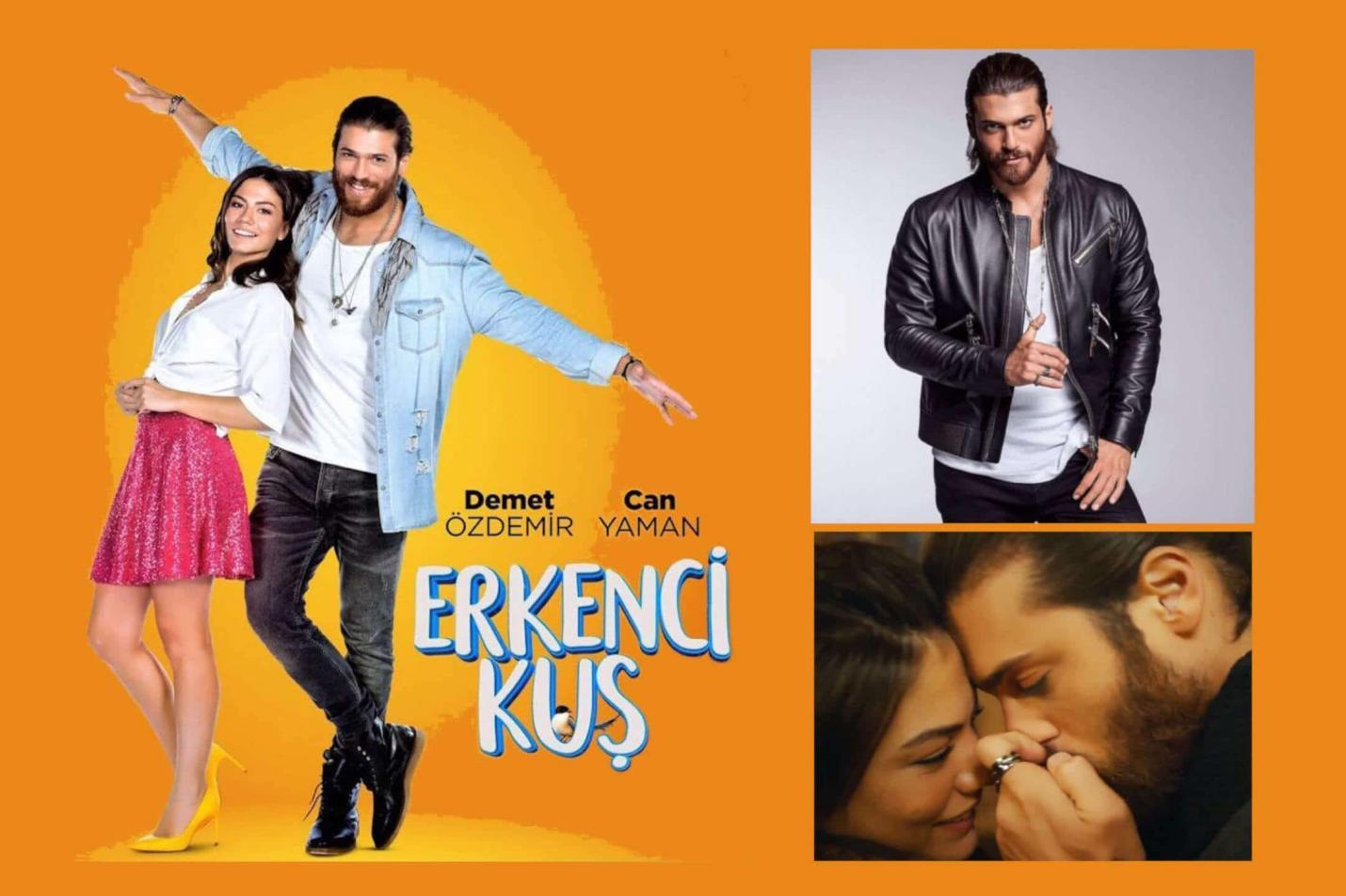 The story of the series is about a girl Sanem Aydın (played by Demet Özdemir) working in her father’s small store. (Image Credit-DR's Fun Fiction)