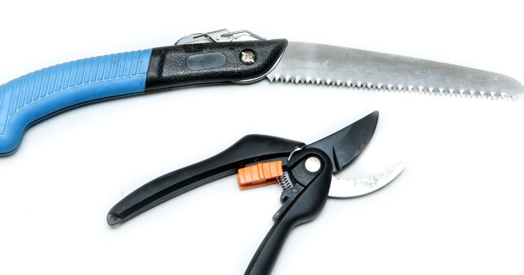 Straight Pruning Saw Vs Curved Pruning Saw