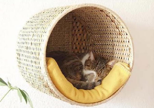 casinha para gato dormir