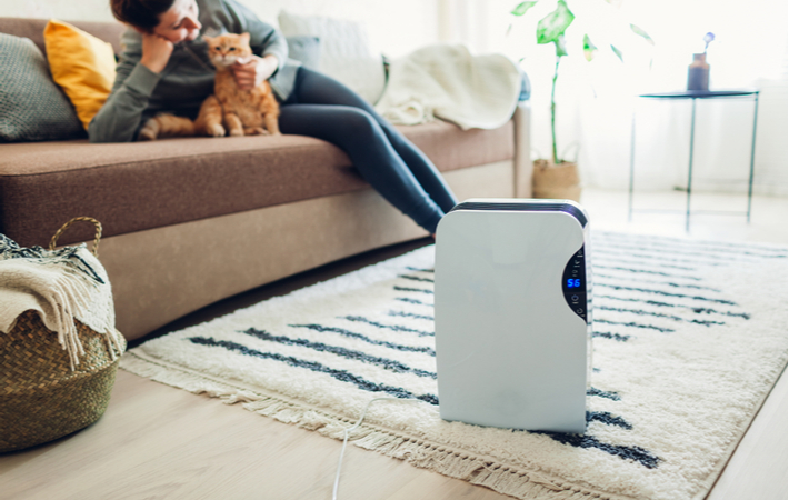 portable air purifier with a woman petting her cat in the background