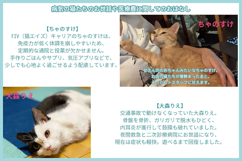 Tomorrow Is The Last Day Rescue Cat Cafe We Want To Save Our Shop Which Lost Many Customers Because Of The Covid Pandemic With The Help Of Itabashi S Local Creatives Cat S