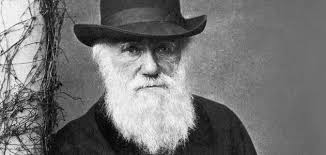 Image result for charles darwin