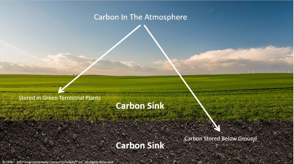 carbon credit farming