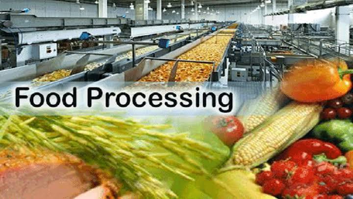 Food Processing Stage