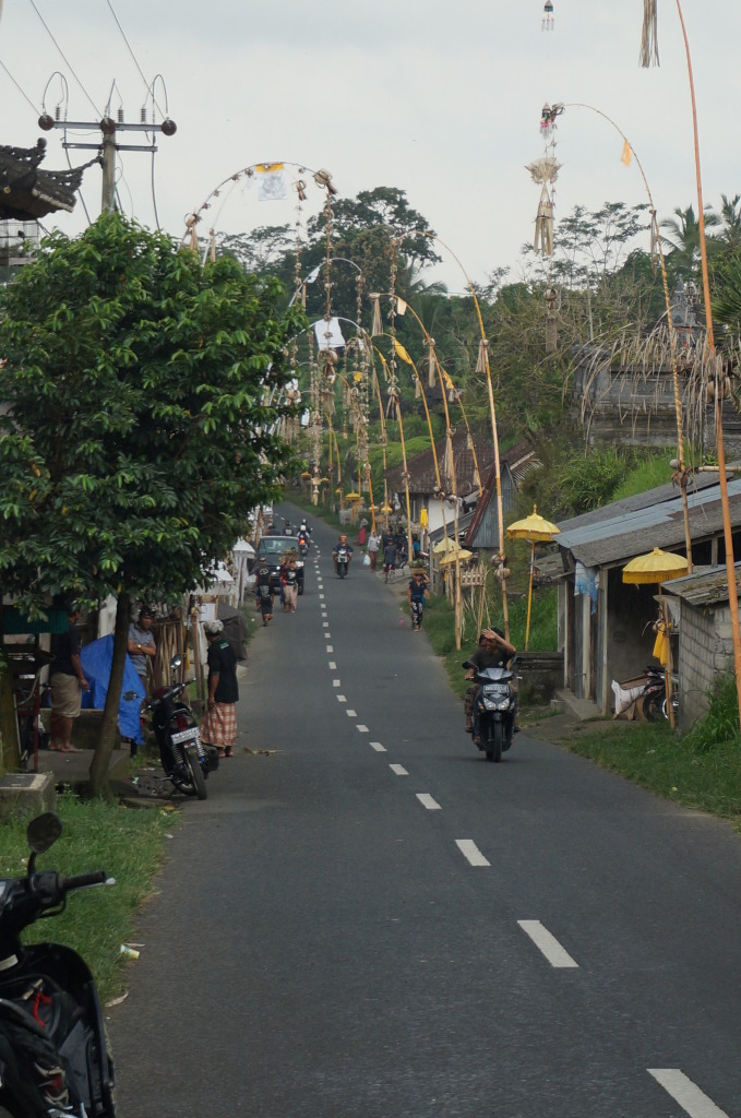 034966020-big.jpg