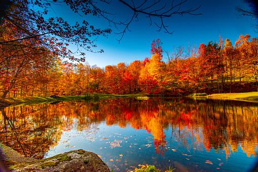 Best 20+ Fall Pictures | Download Free Images on Unsplash