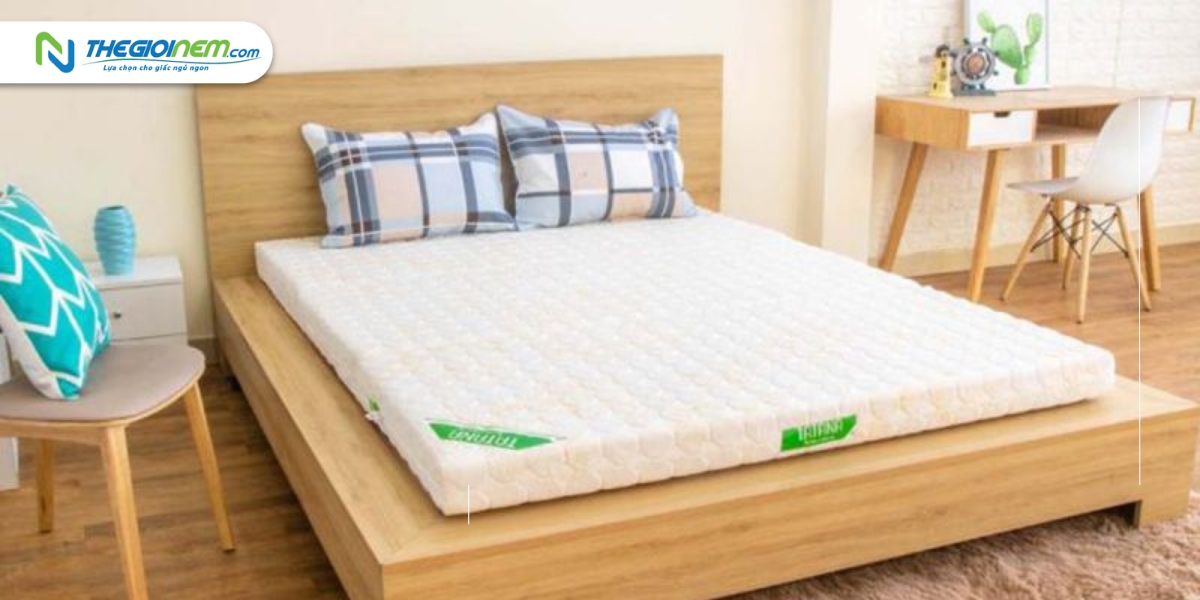 Cửa hàng bán nệm bông ép giá rẻ tại Long An | Thegioinem.com