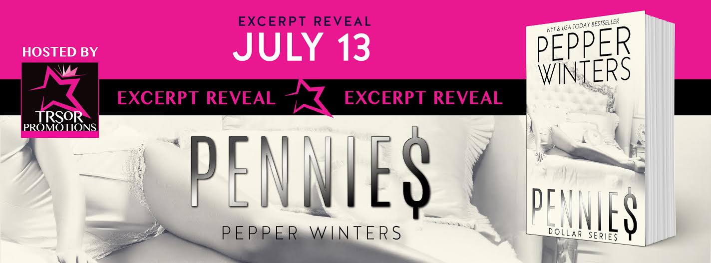 pennies excerpt reveal.jpg