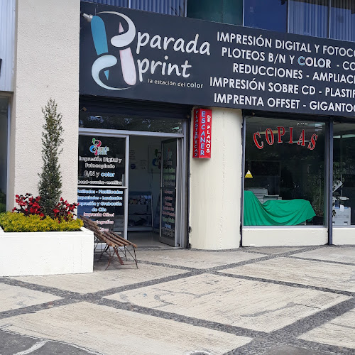 Parada Print