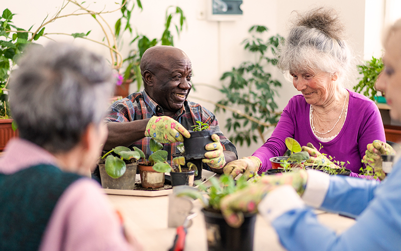 gardening together is one of the most fun things to do in retirement