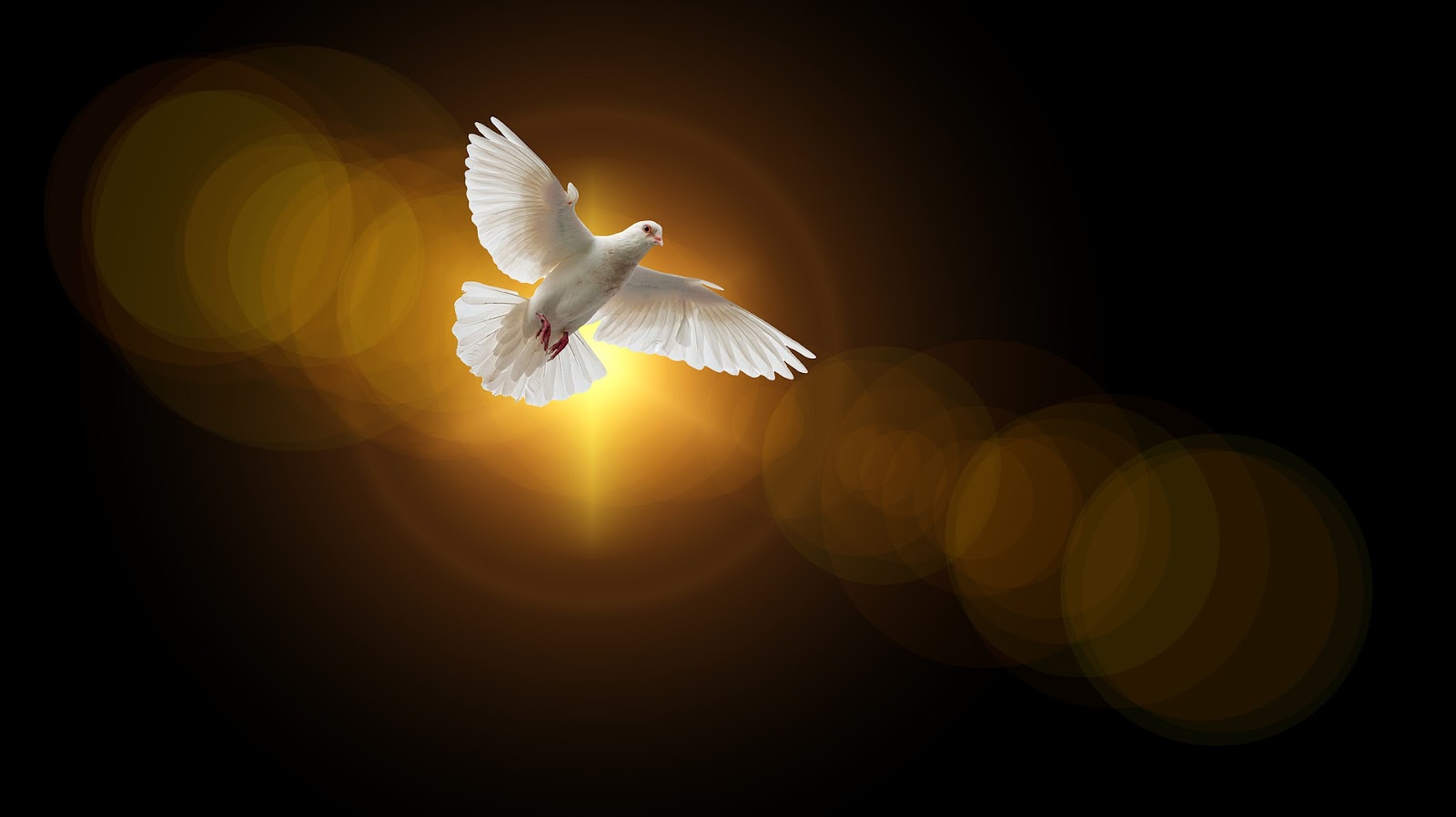 A dove representing the holy spirit, a part of the holy trinity