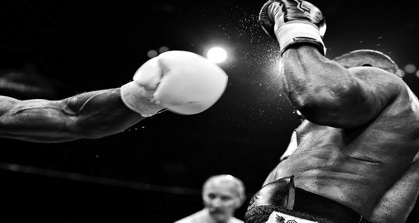 Boxers pendant combat, blessure, topiques CBD solution - CBD Sport