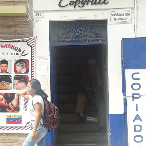 Cevibur S.A.C.