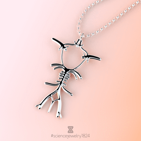 Circle of Willis Necklace
