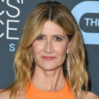 Laura Dern on the red carpet. her hair is slightly wavy and parted in the middle