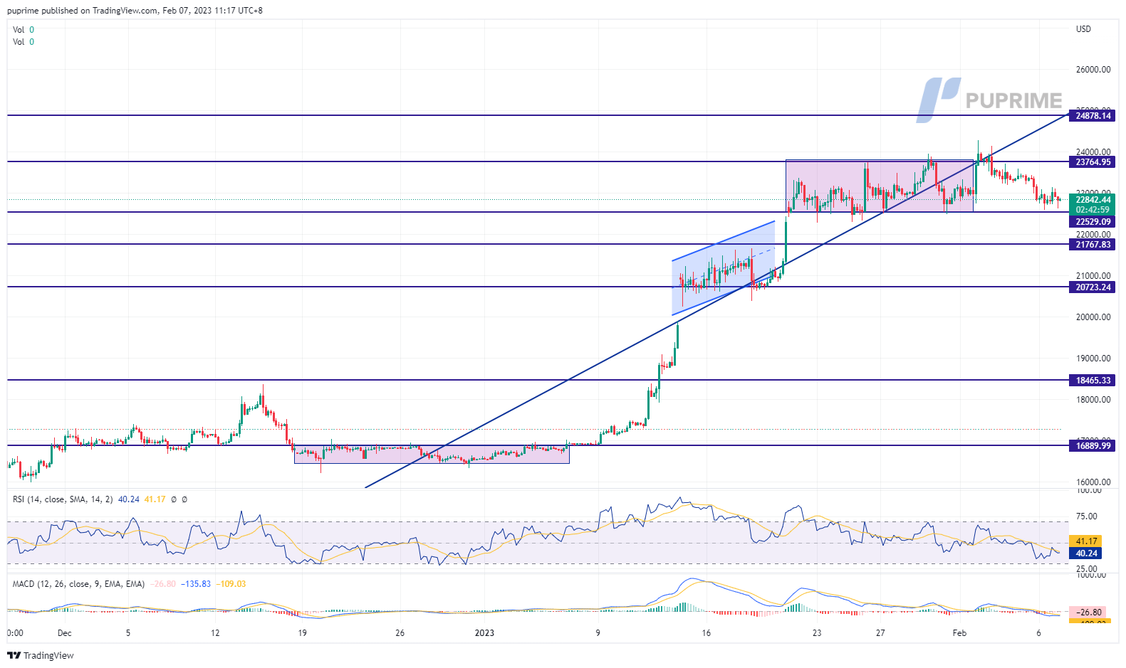 Market Movement BTC/USD Chart 2023/02/07