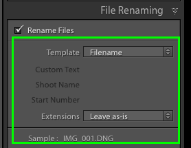 Lightroom Importação