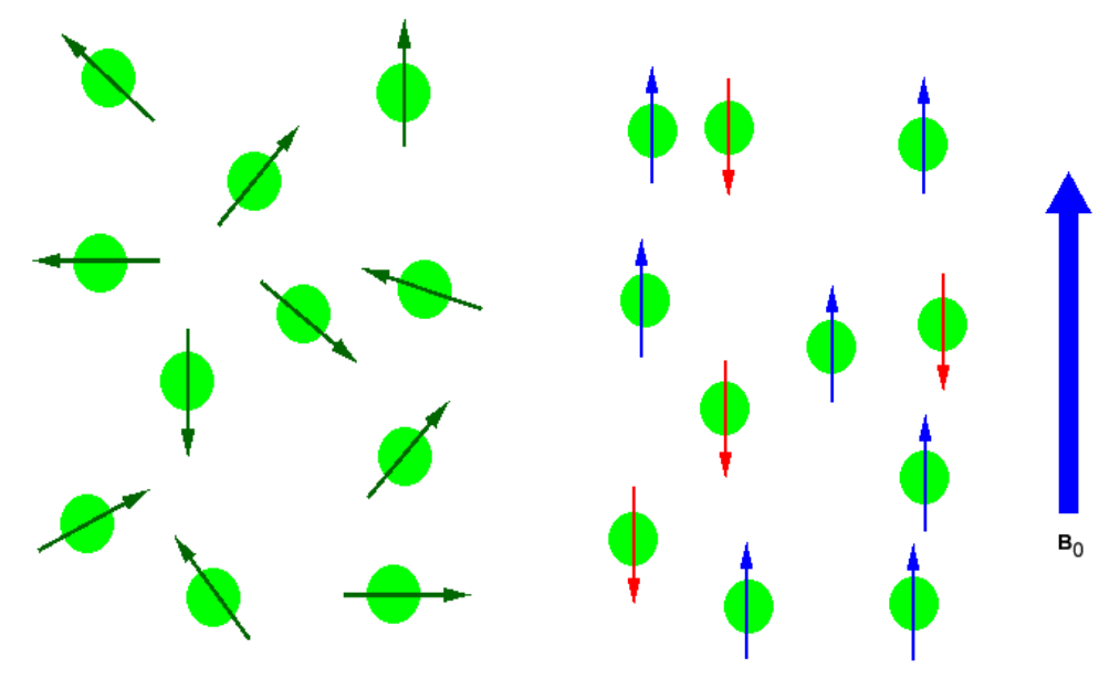 Random (left) and ordered (right) nuclear spins in an external magnetic field's absence and presence, respectively, as an example of proton NMR spectroscopy