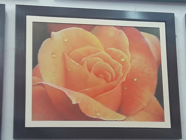 Opiniones de Pinturas Oleo Peru en Miraflores - Tienda de pinturas
